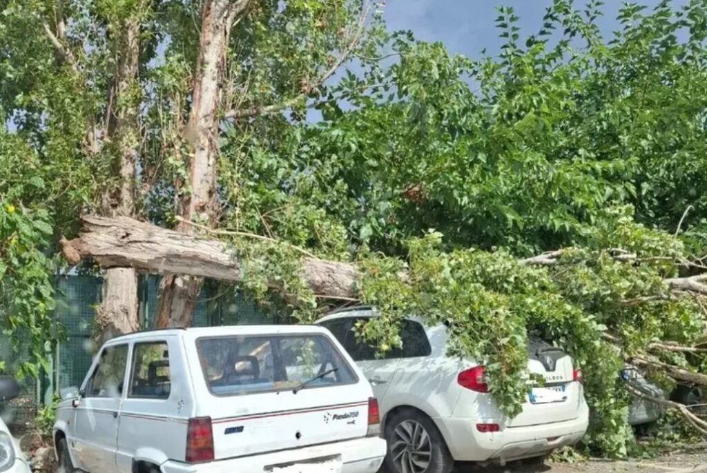 maltempo vento torre del greco campania