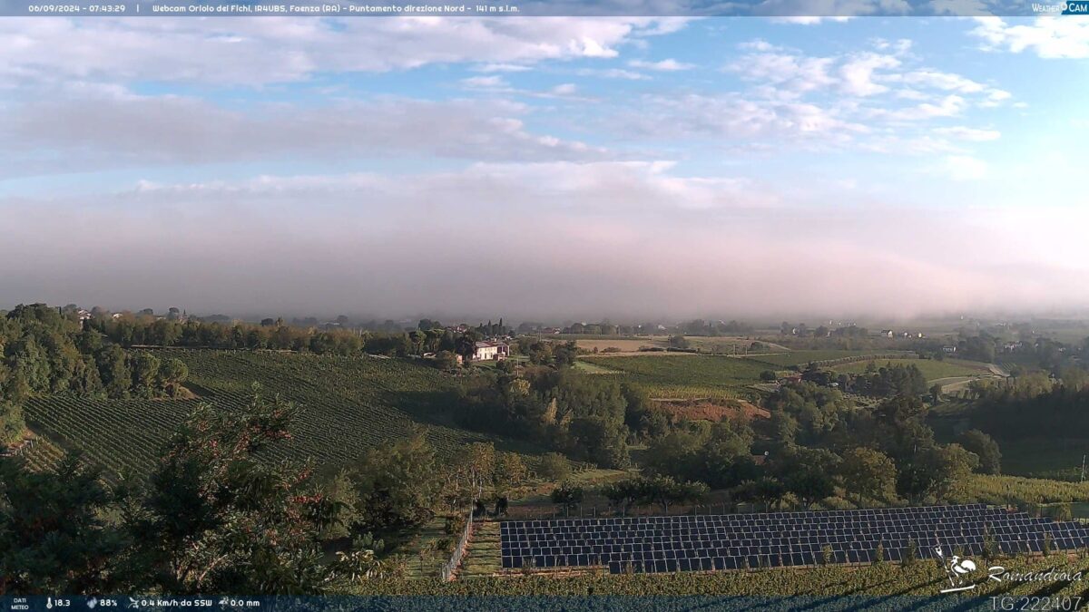 nebbia oggi