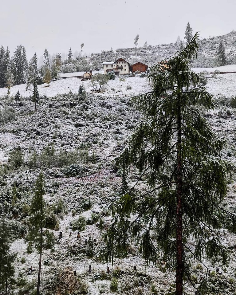 neve passo di carezza trentino alto adige