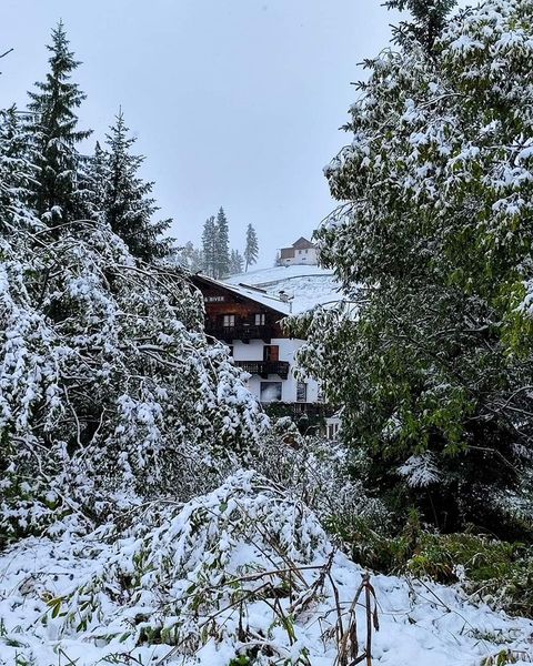 neve passo di carezza trentino alto adige