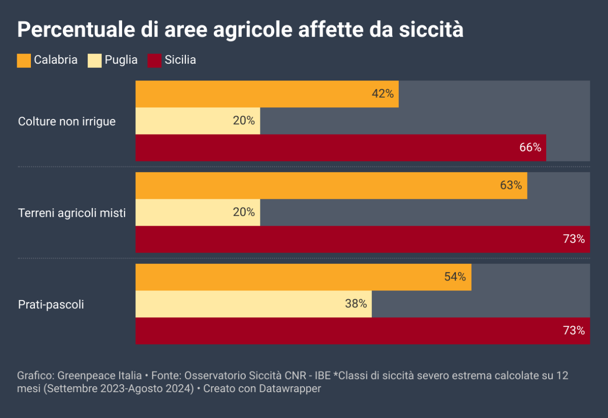 siccità 2024