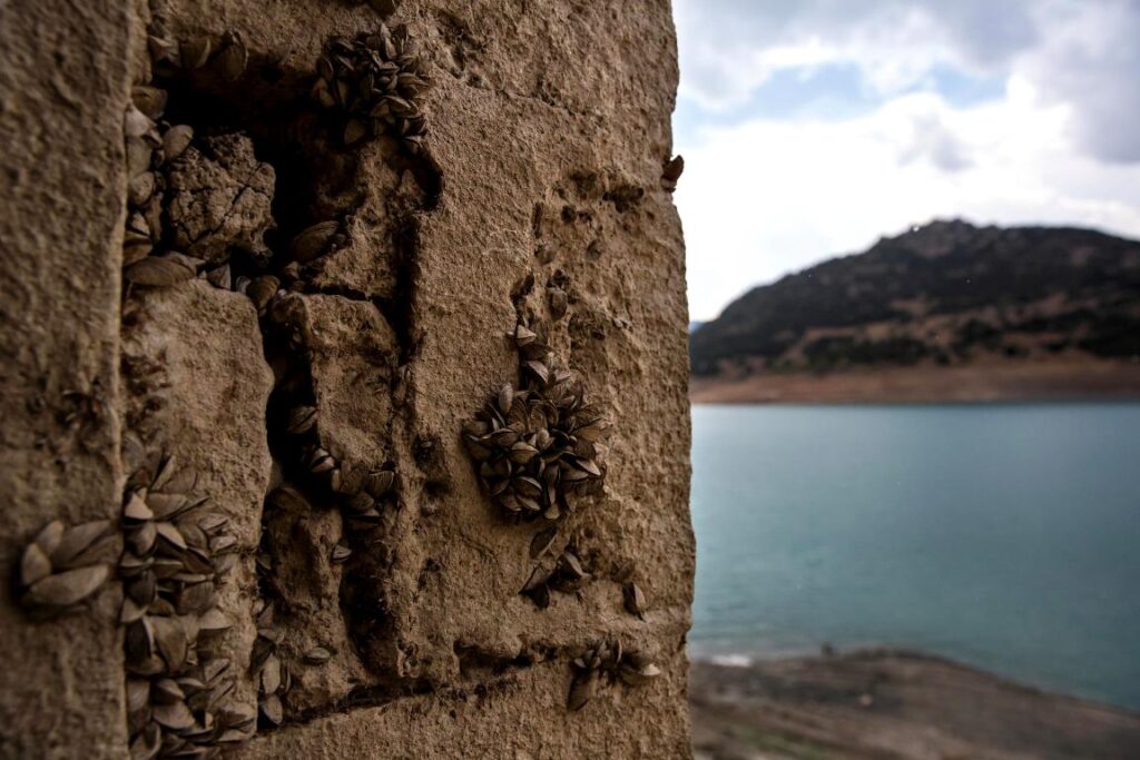 siccità grecia lago