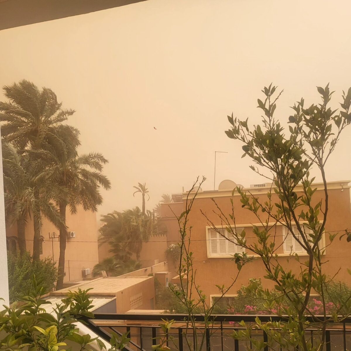 tempesta di sabbia marrakesh marocco