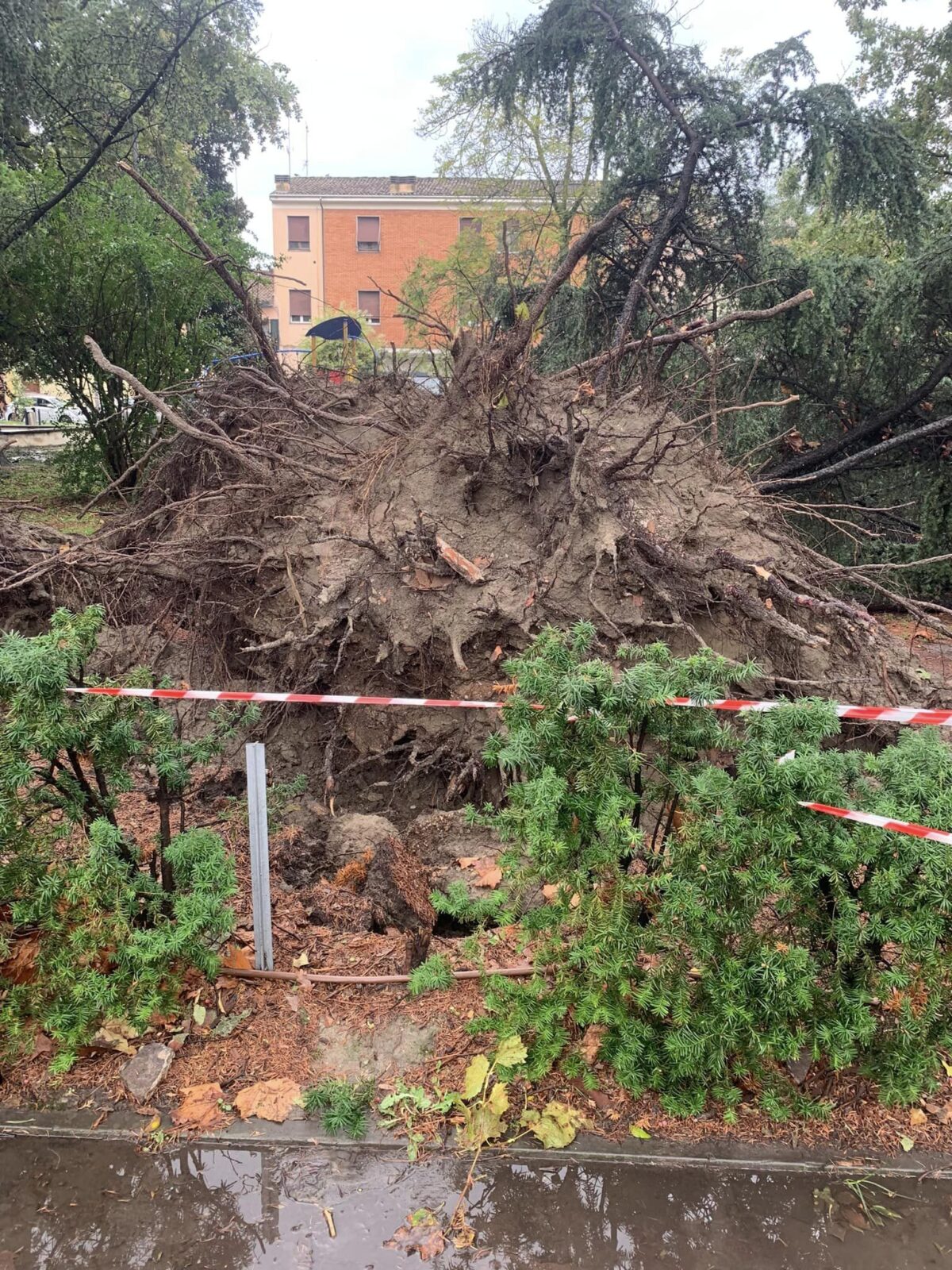 vento cento emilia romagna