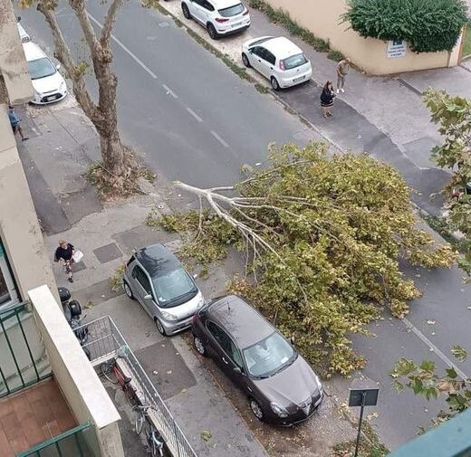 vento forte livorno