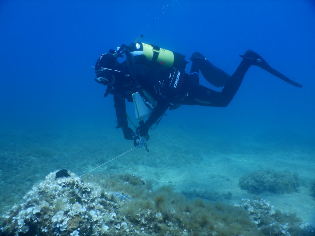 biodiversità mediterraneo