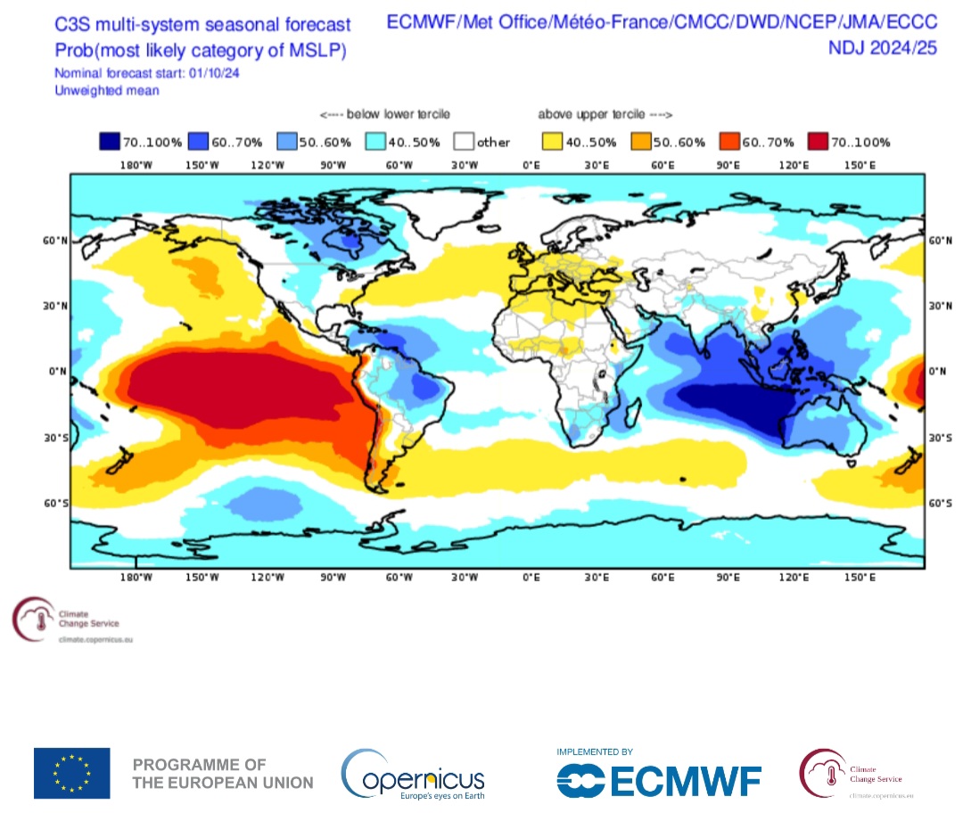 ECMWF stagionali pressione al suolo 