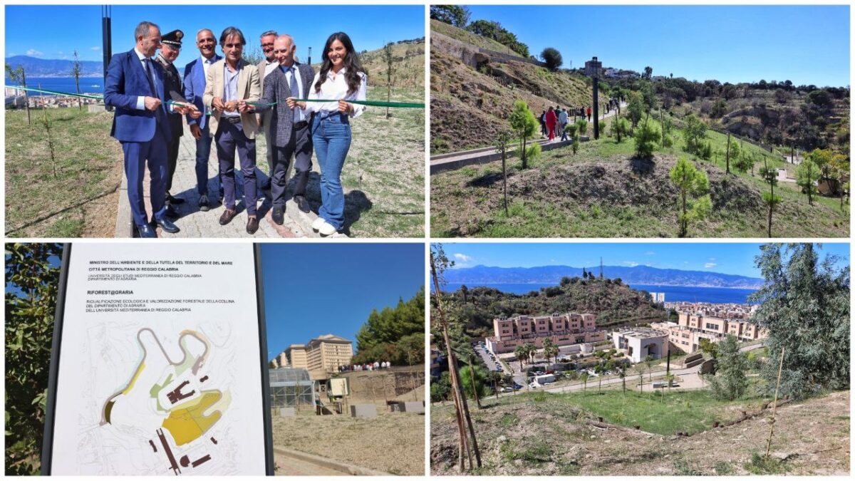 Inaugurazione Bosco Urbano dipartimento Agraria Università Mediterranea Reggio Calabria