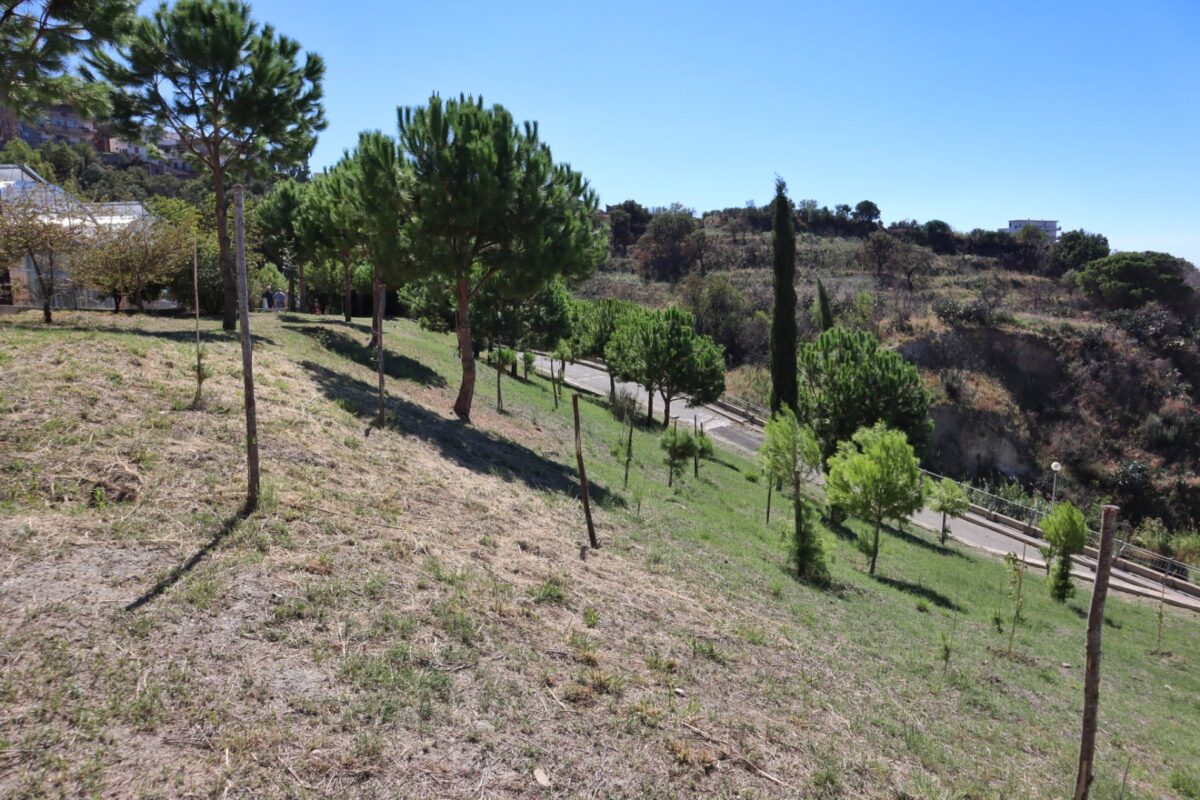 Inaugurazione Bosco Urbano dipartimento Agraria Università Mediterranea Reggio Calabria