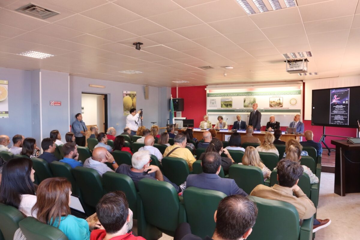 Inaugurazione Bosco Urbano dipartimento Agraria Università Mediterranea Reggio Calabria