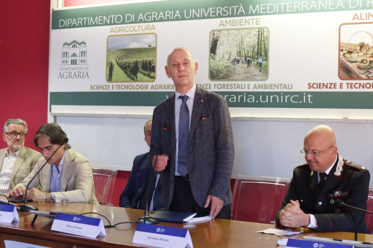 Inaugurazione Bosco Urbano dipartimento Agraria Università Mediterranea Reggio Calabria