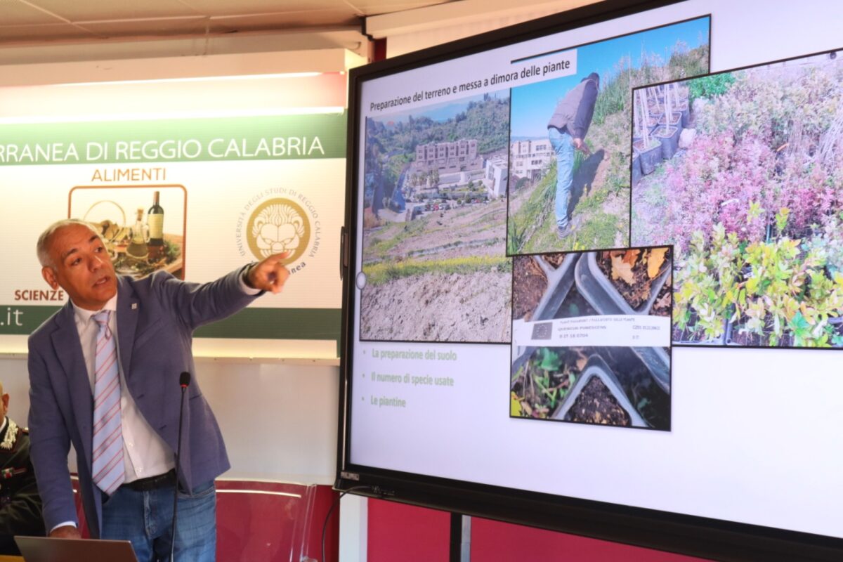 Inaugurazione Bosco Urbano dipartimento Agraria Università Mediterranea Reggio Calabria