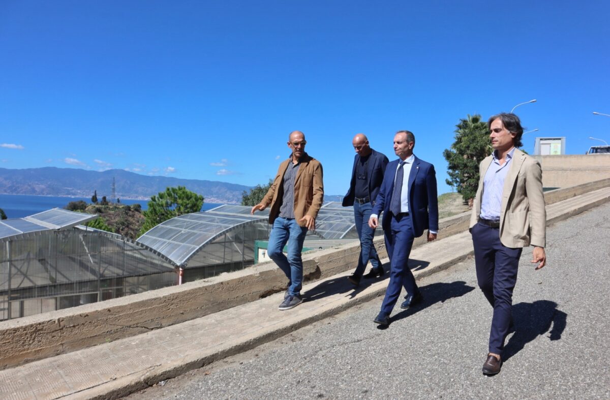 Inaugurazione Bosco Urbano dipartimento Agraria Università Mediterranea Reggio Calabria