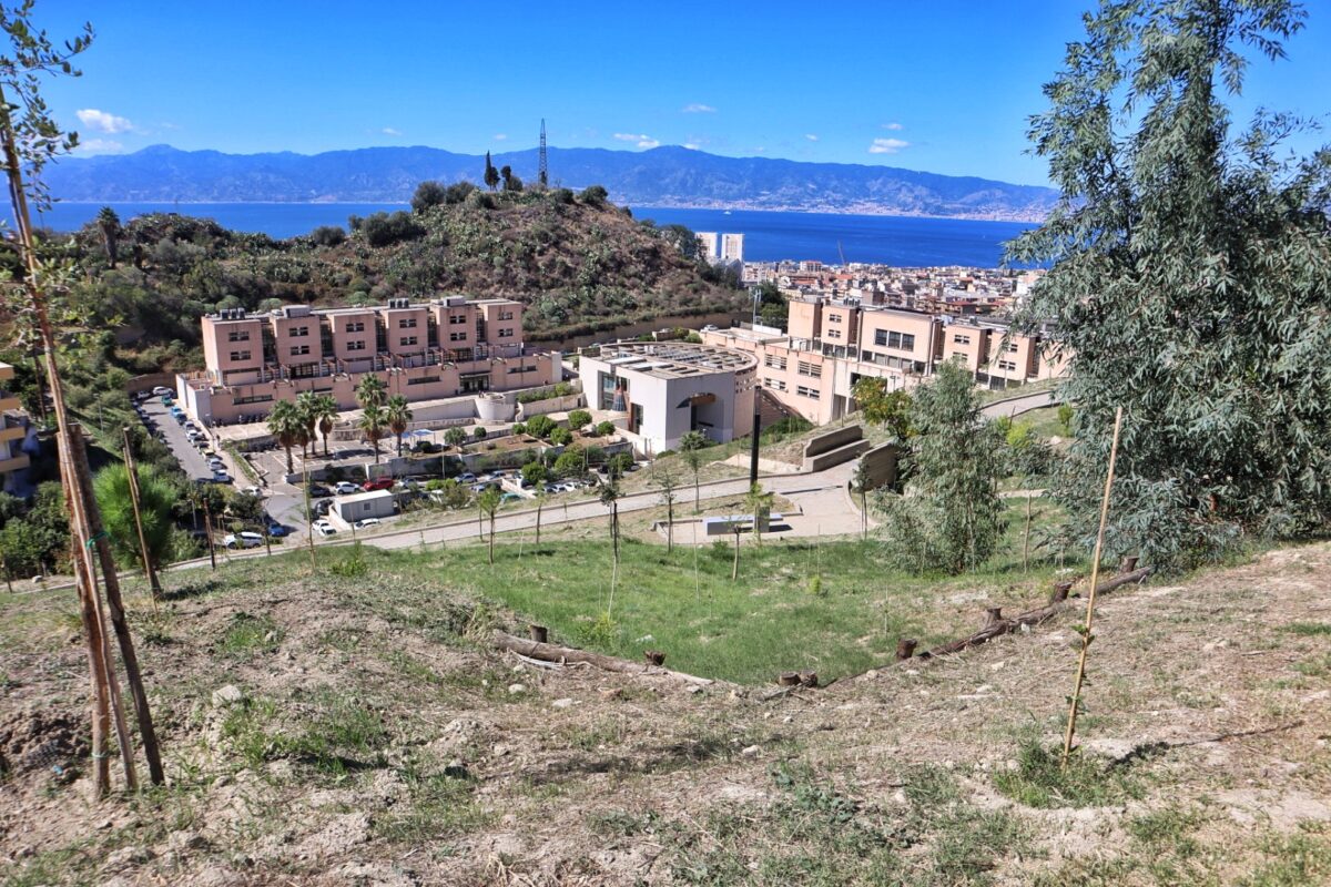 Inaugurazione Bosco Urbano dipartimento Agraria Università Mediterranea Reggio Calabria