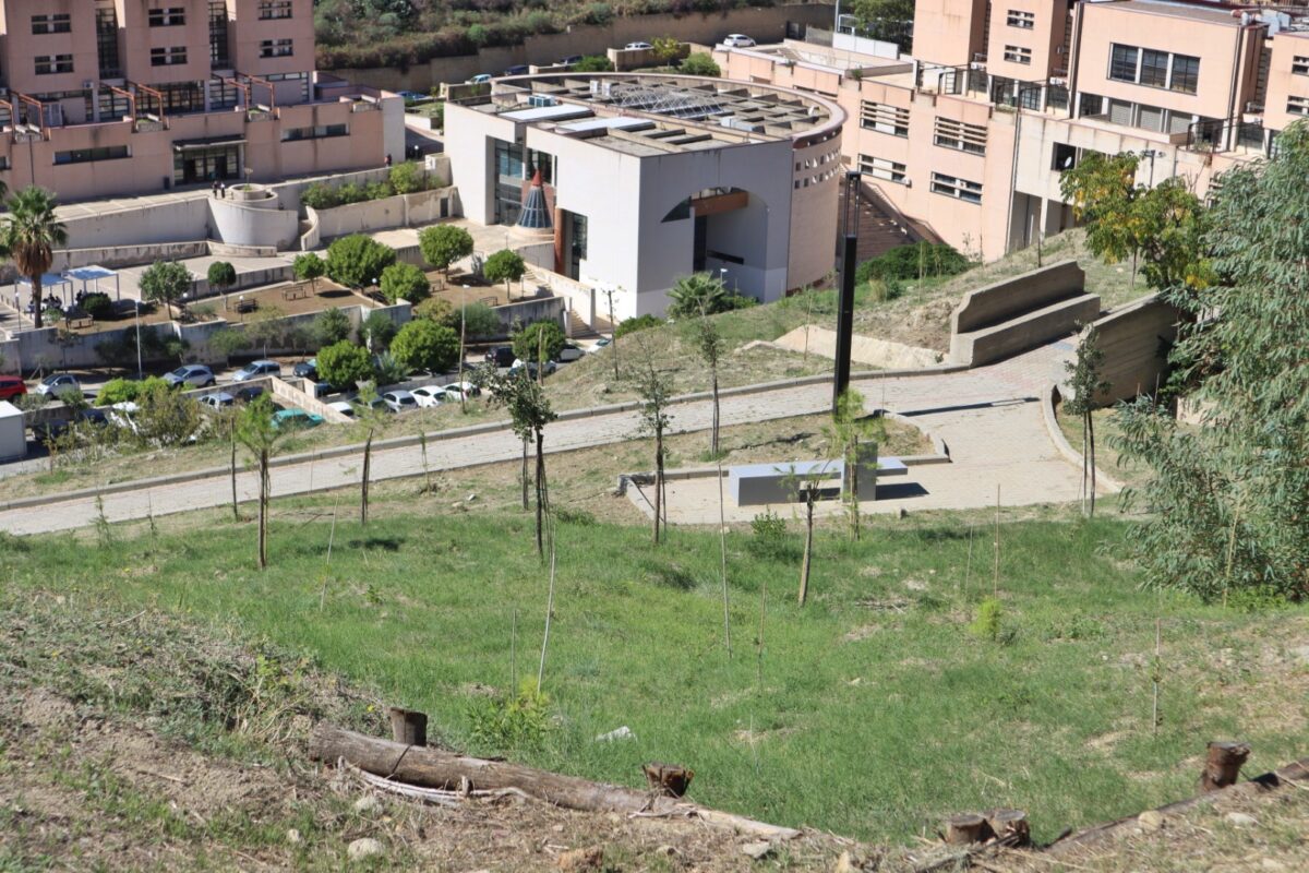 Inaugurazione Bosco Urbano dipartimento Agraria Università Mediterranea Reggio Calabria