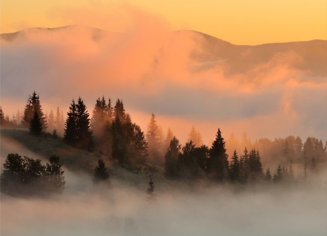 Nebbia in montagna 