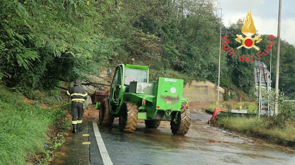 alluvione lamezia terme