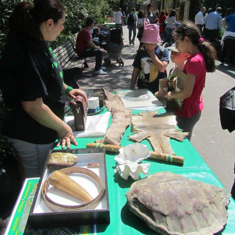 bioparco roma halloween