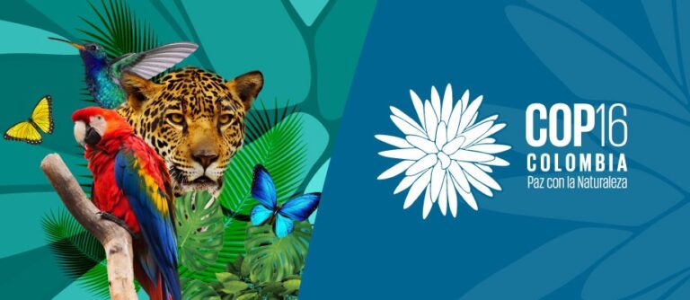 cop16 biodiversità cali colombia