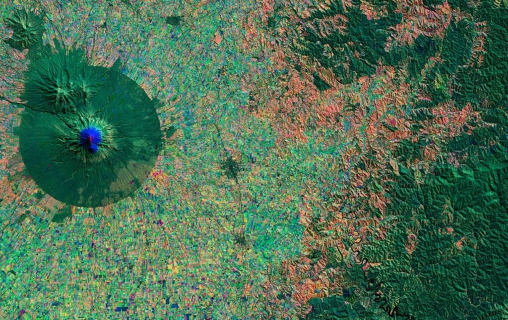 esa leica Forests Seen from Space