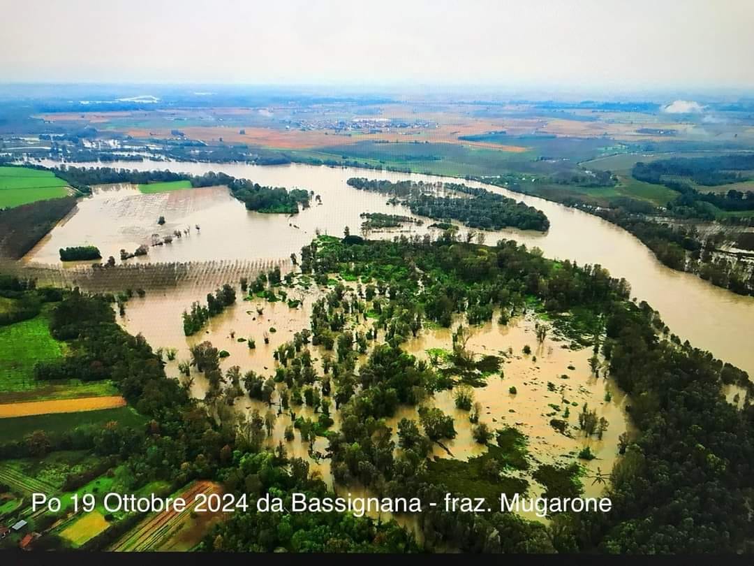 esondazione po bassignana alessandria piemonte (1)