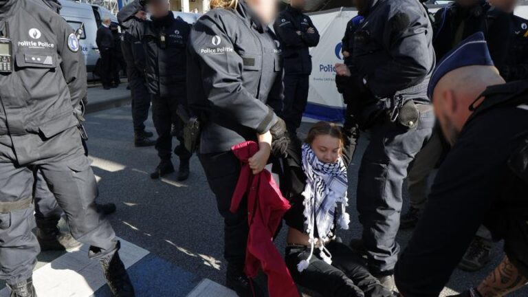 greta thunberg protesta clima bruxelles