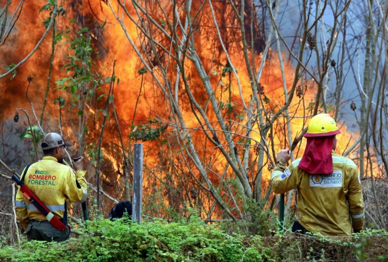 incendi bolivia