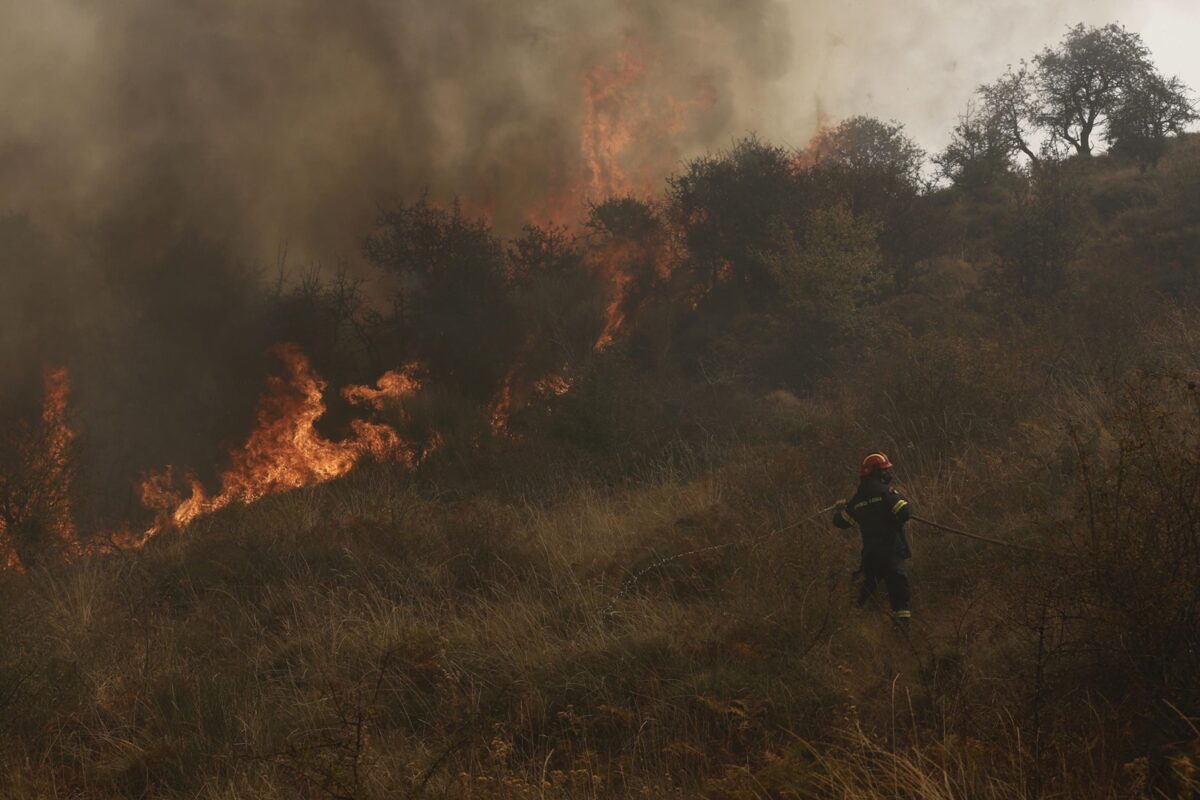 incendi grecia