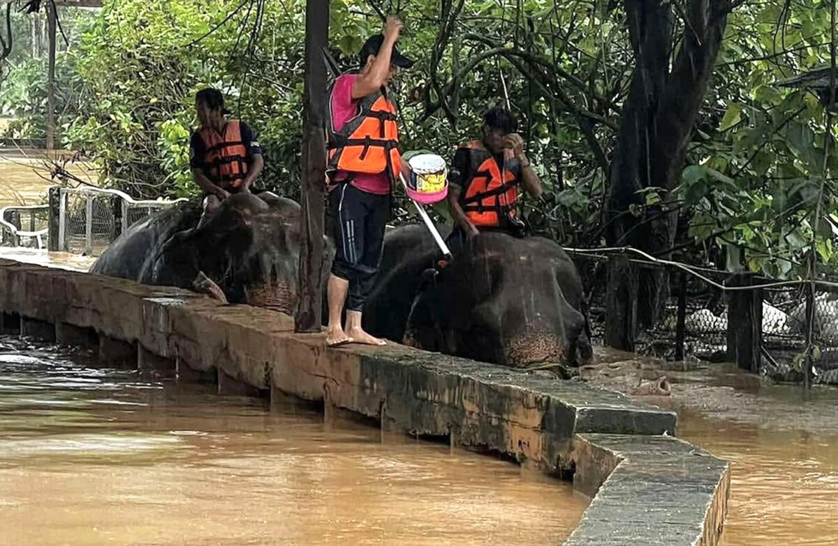 inondazioni thailandia