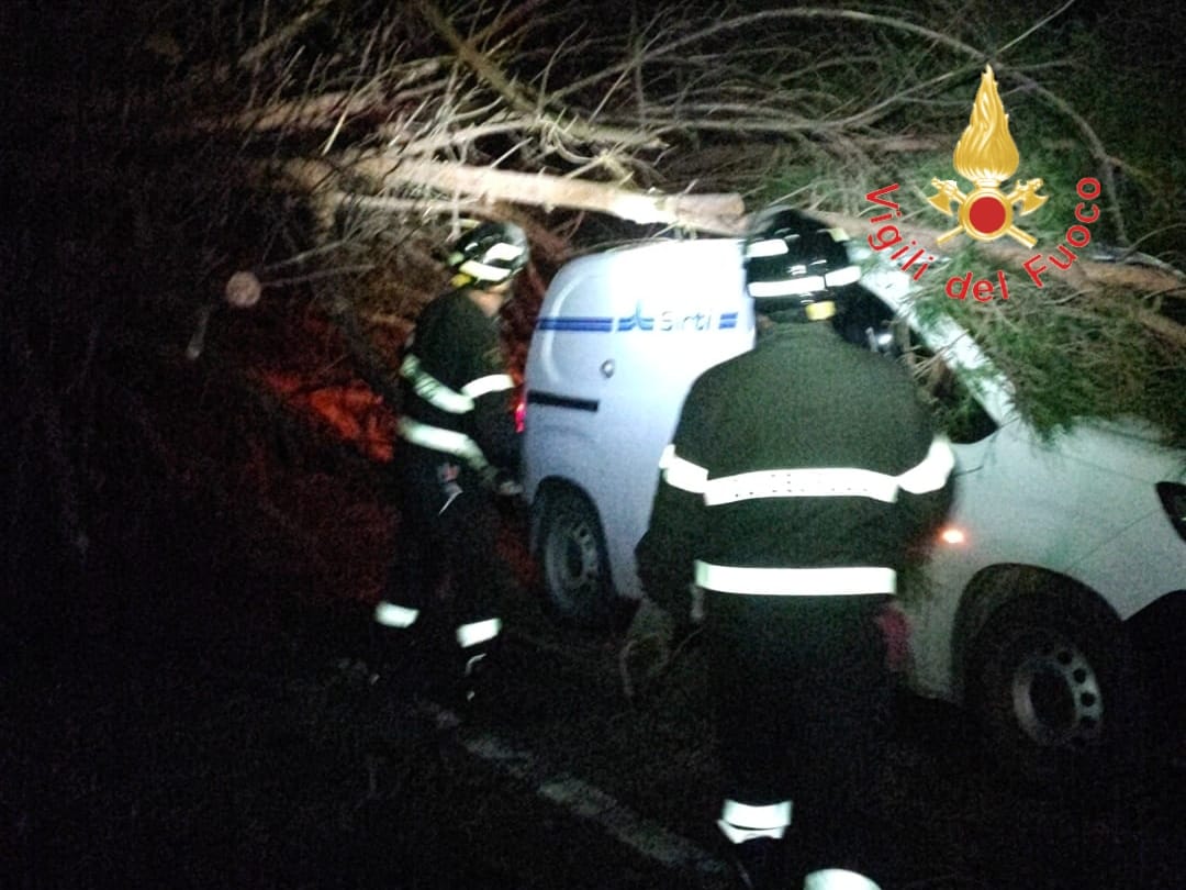 maltempo albero secolare su furgone soccorritori a lamezia terme