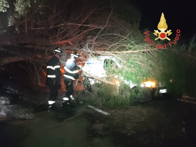 maltempo albero secolare su furgone soccorritori a lamezia terme