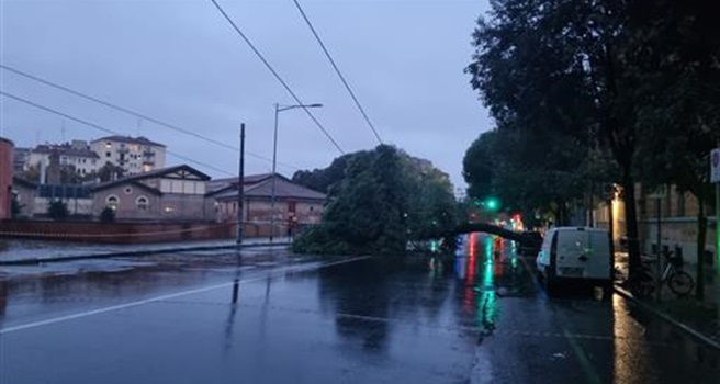 maltempo bologna