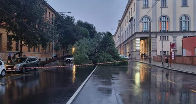 maltempo bologna