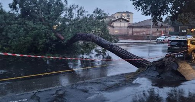 maltempo bologna