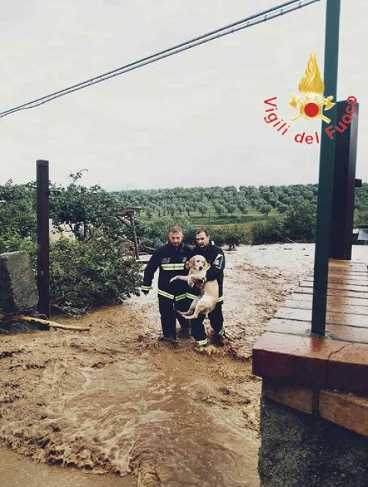 maltempo calabria oggi alluvione