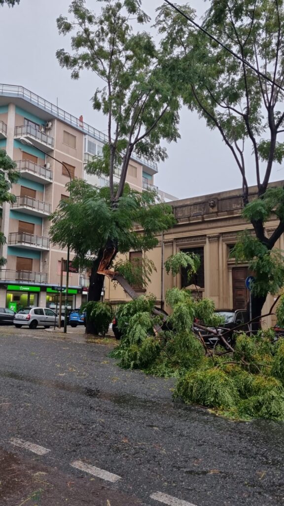 maltempo reggio calabria