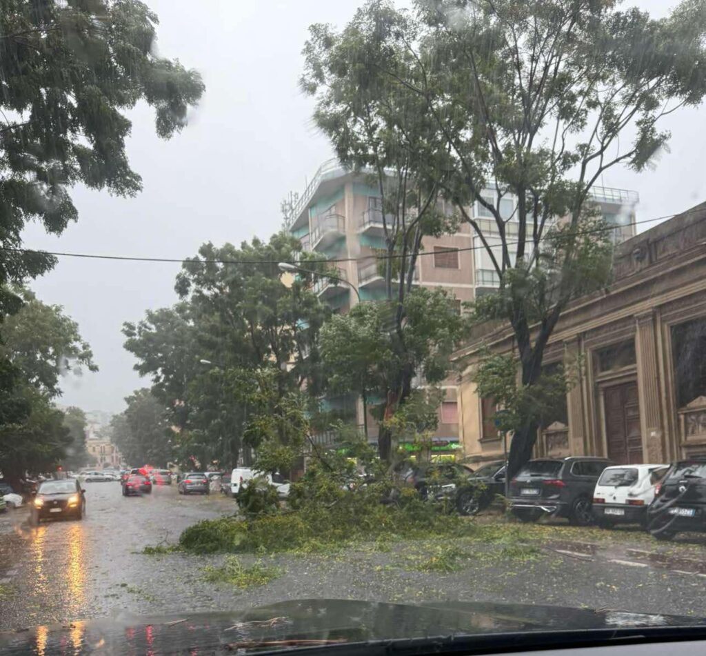 maltempo reggio calabria crollo alberi