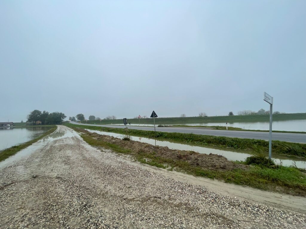 quaderna medicina bologna alluvione emilia romagna