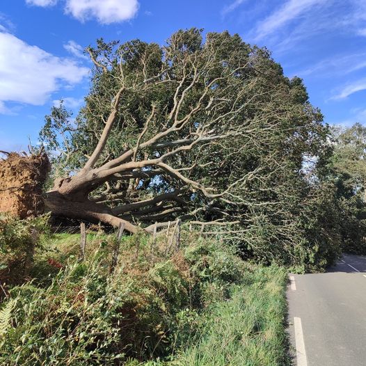 tempesta kirk francia