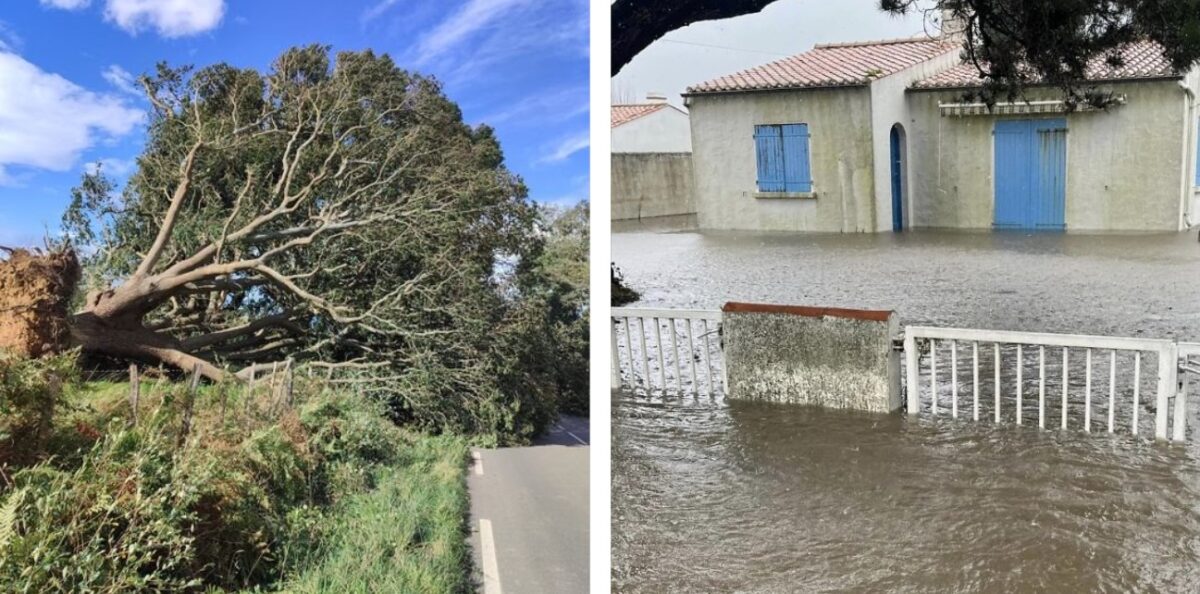 tempesta kirk francia