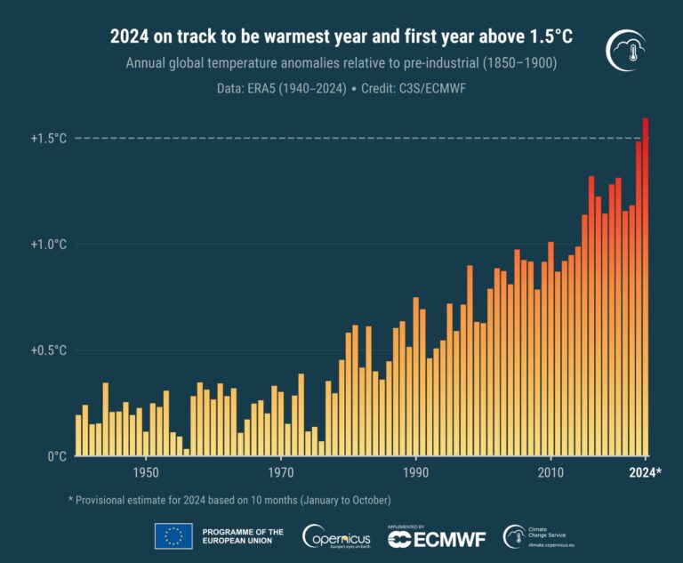 2024 clima caldo copernicus