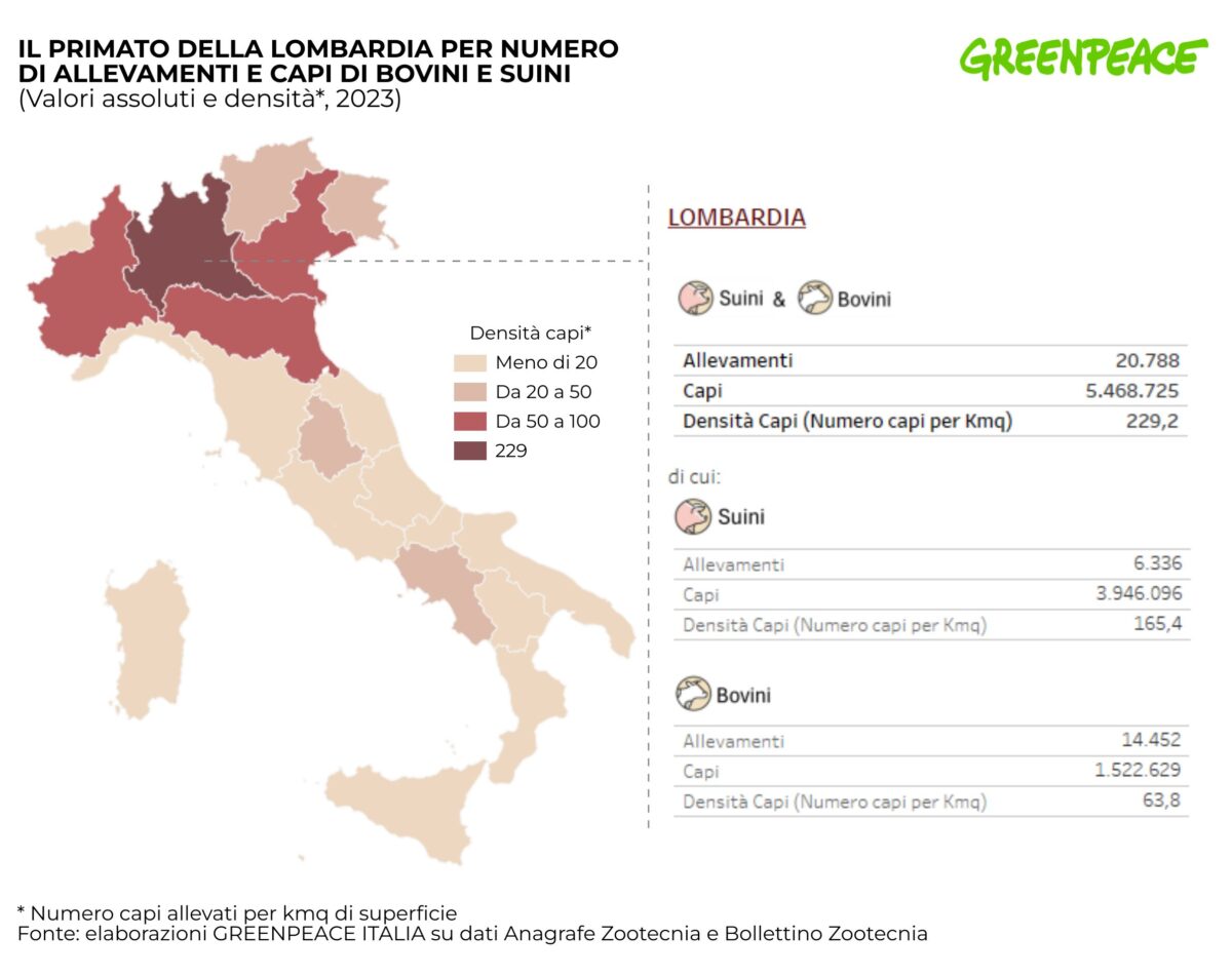 Allevamenti bovini e suini Italia