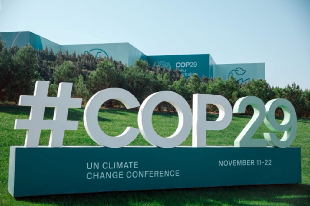 COP29