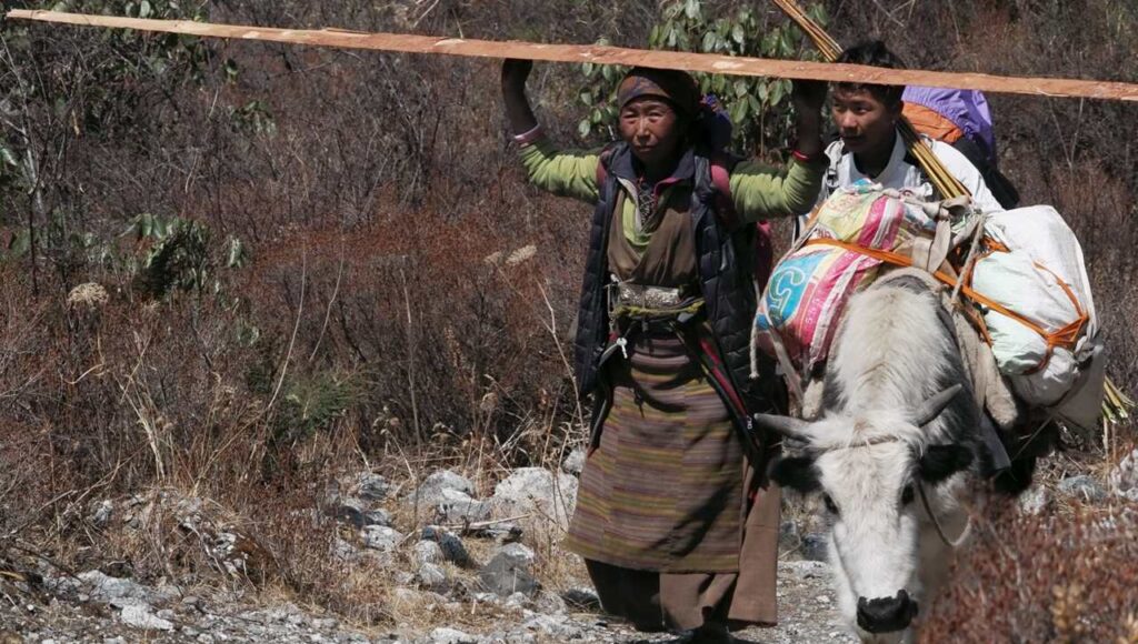 Donna di etnia Sherpa che trasporta materiale dal villaggio permanente agli insediamenti estivi