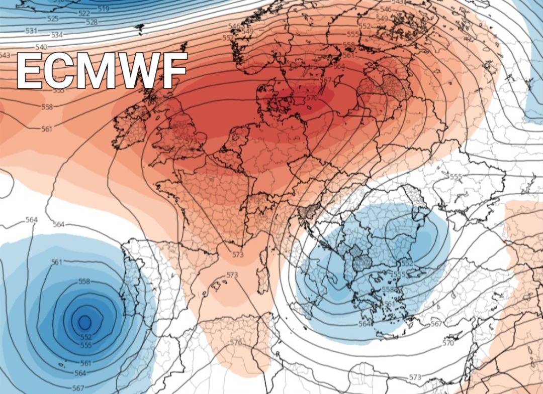 ECMWF 15 novembre 