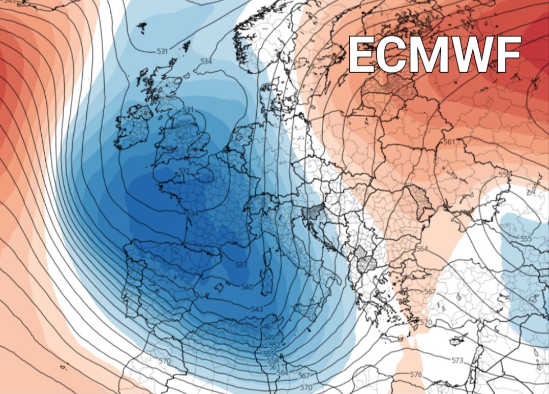 ECMWF 20 novembre 