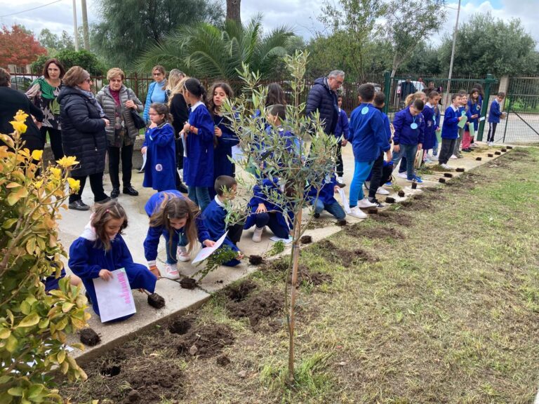 Festa albero scuole