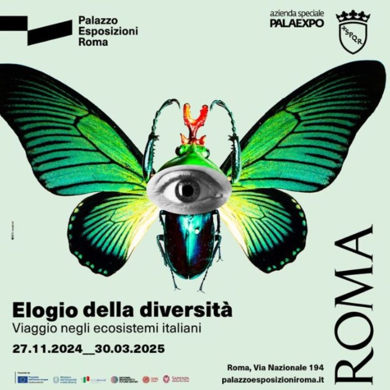 Locandina mostra Elogio della diversità