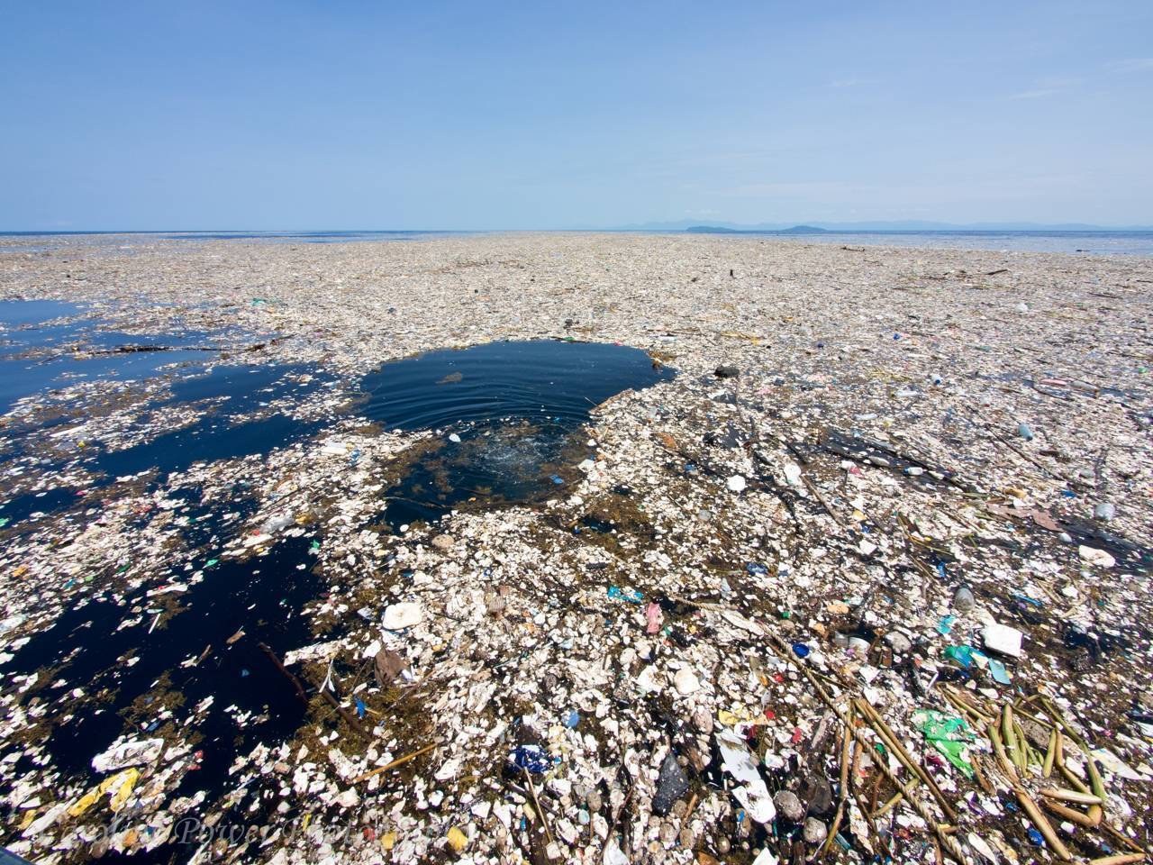 Pacific trash vortex 