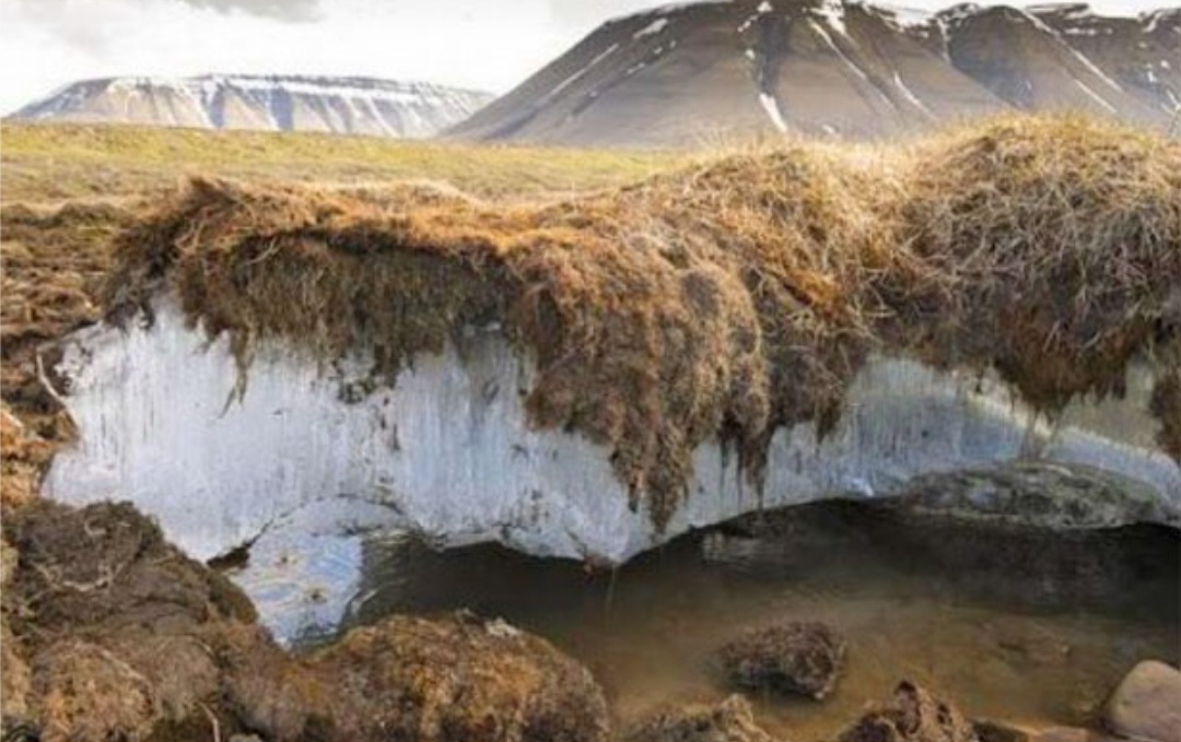 Permafrost